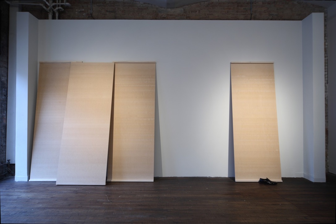 Tom Burr / Walter Pfeiffer, 2007, installation view